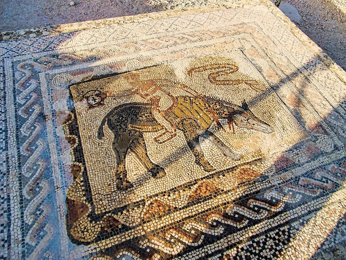Ruines romaines de Volubilis, site classé UNESCO près de Meknès
