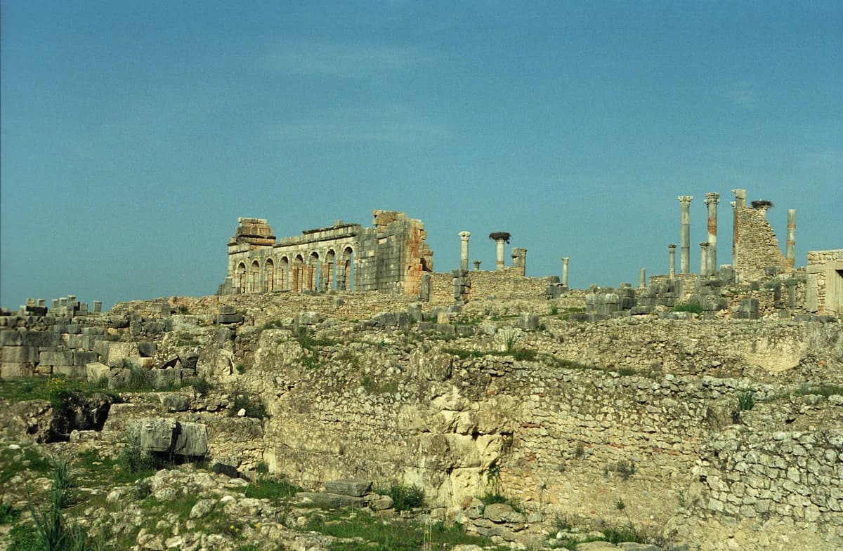 Vue d'ensemble de la basilique et des colonnes du site archéologique de Volubilis