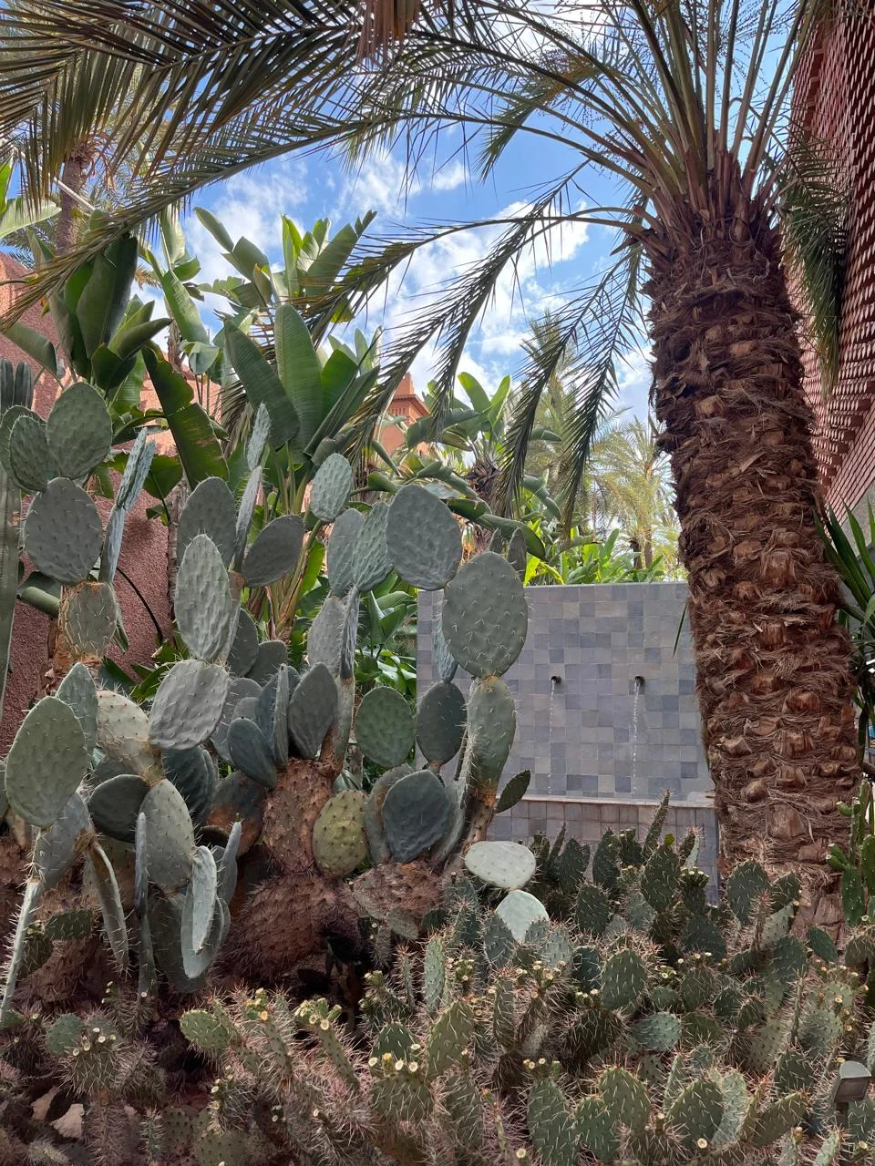 Musée Yves Saint Laurent Marrakech
